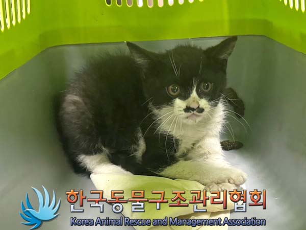 한국동물구조관리협회_411315202400393