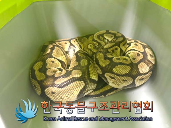 한국동물구조관리협회_411317202400244