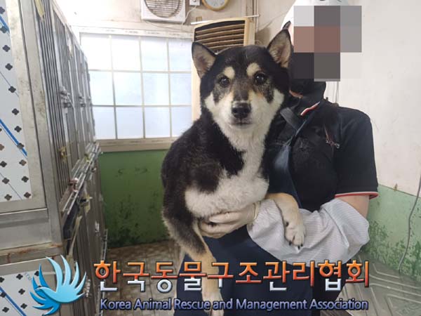 종료(반환) 시바의…