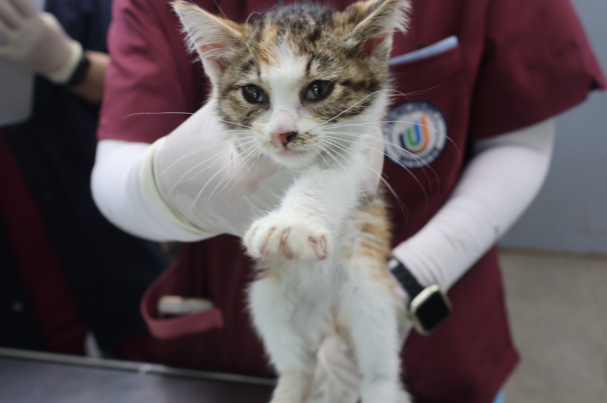 제주 동물보호센터_450650202402201