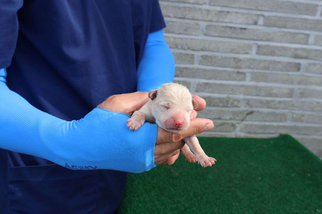 제주 동물보호센터_450650202402193