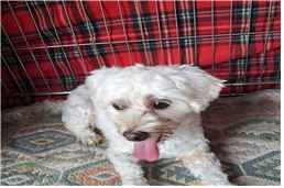 (사)동물보호관리협회_448535202401014