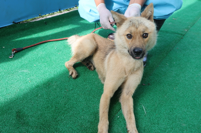 제주 동물보호센터_450650202402185