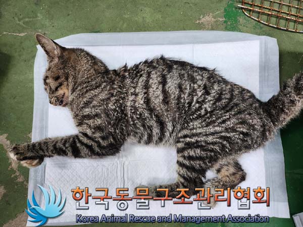 종료(자연사) 한국…