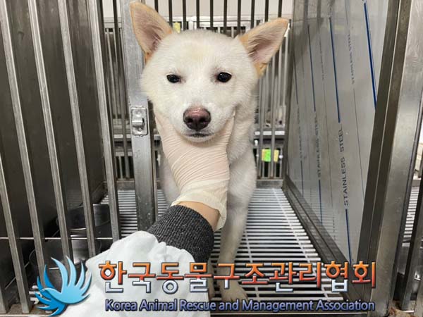 한국동물구조관리협회_411317202400245
