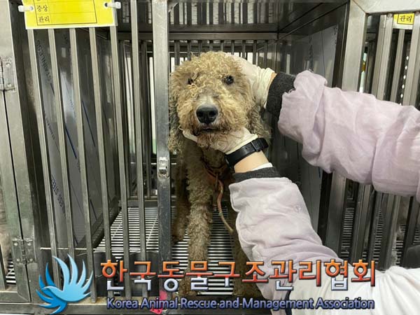 한국동물구조관리협회_441414202400577