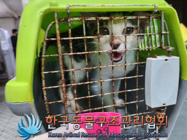 한국동물구조관리협회_441409202401118