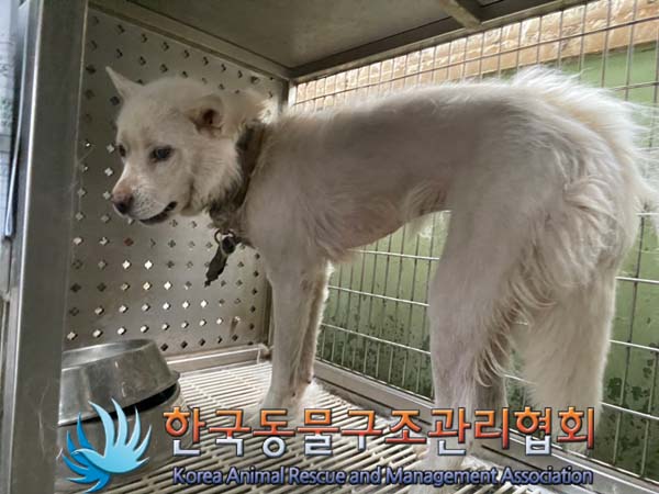 한국동물구조관리협회_441560202400795