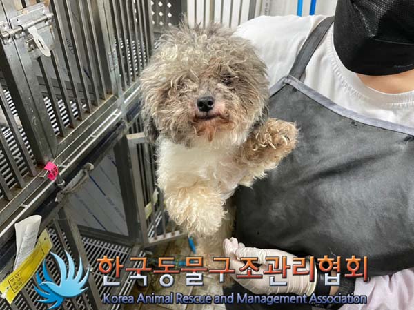 한국동물구조관리협회_411307202400363
