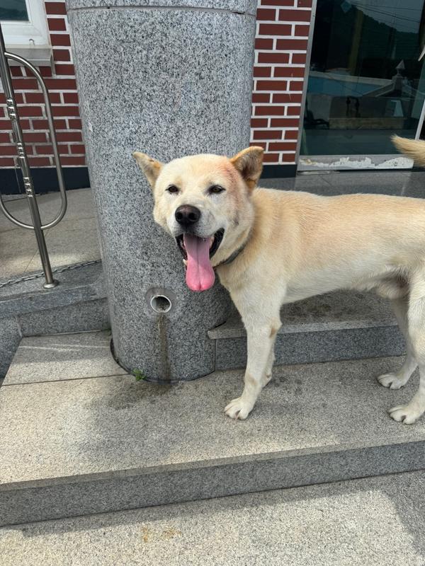 남해군동물보호센터_448543202400238