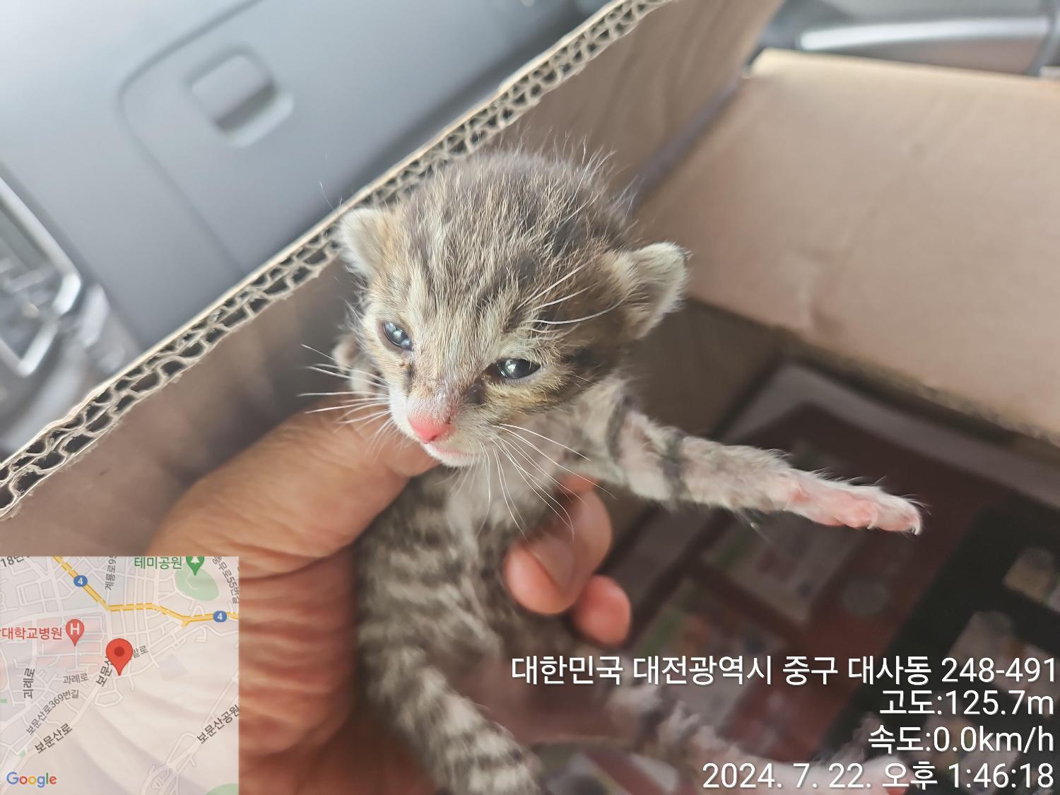 종료(자연사) 한국…