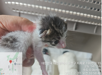 종료(자연사) 코숏…