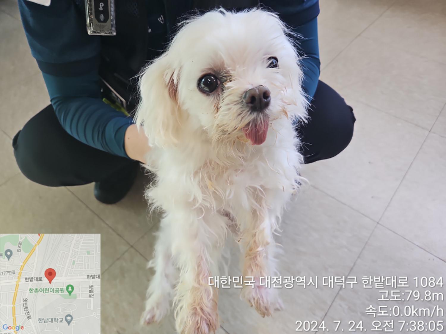 대전동물보호센터_430368202400352