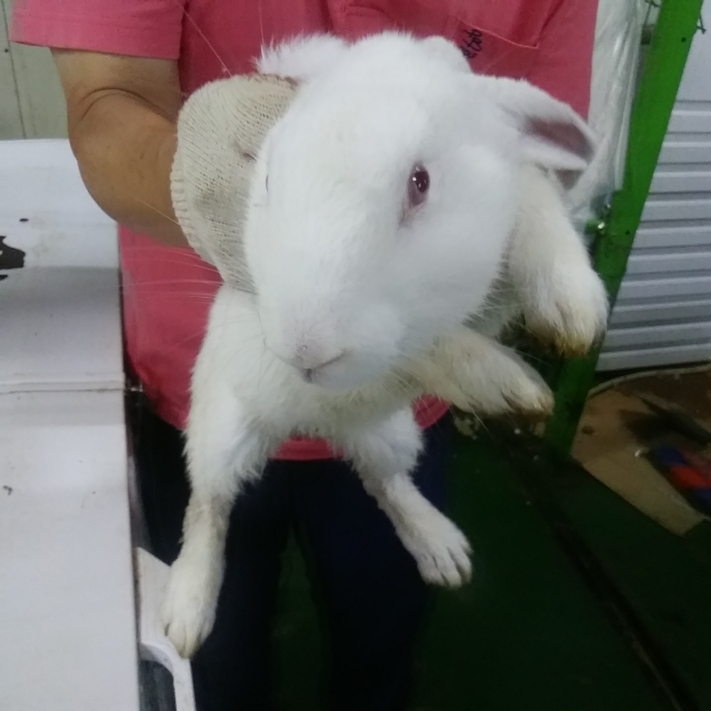 인천광역시수의사회_428352202400357