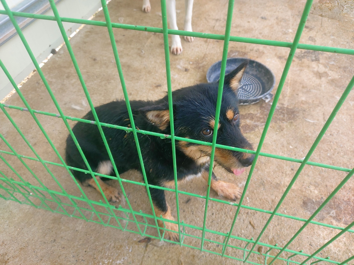 전북말산업복합센터_445471202400551