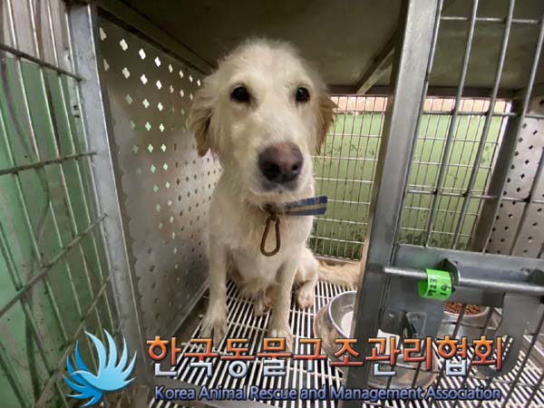 한국동물구조관리협회_441414202400578