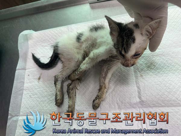 한국동물구조관리협회_441392202400221