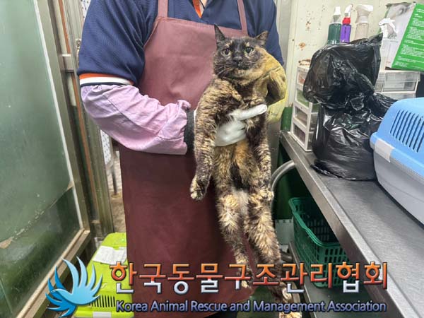 한국동물구조관리협회_411304202400389