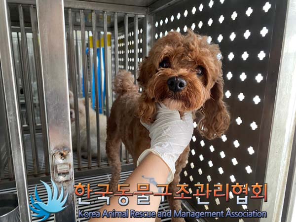 한국동물구조관리협회_441392202400220