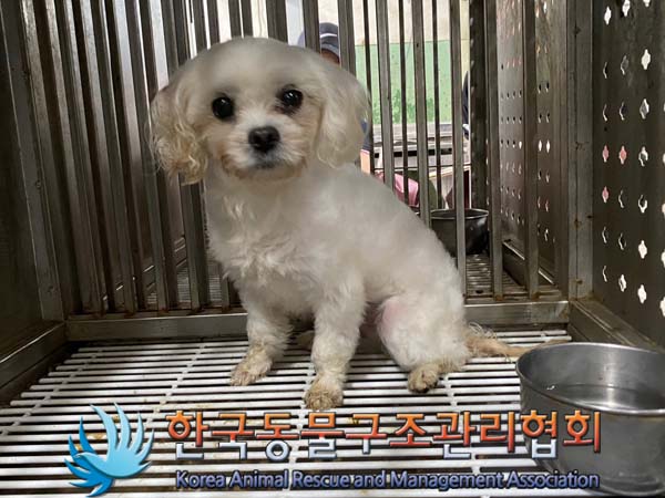 한국동물구조관리협회_441392202400219