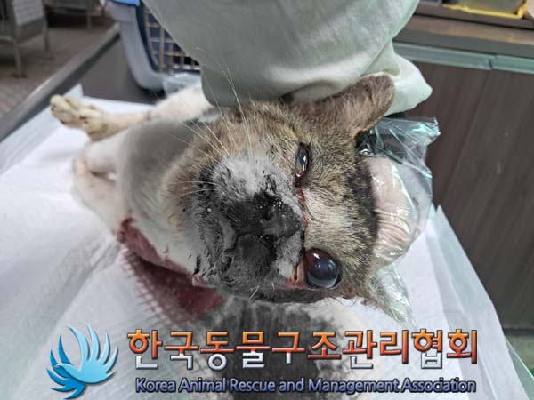 종료(자연사) 한국…
