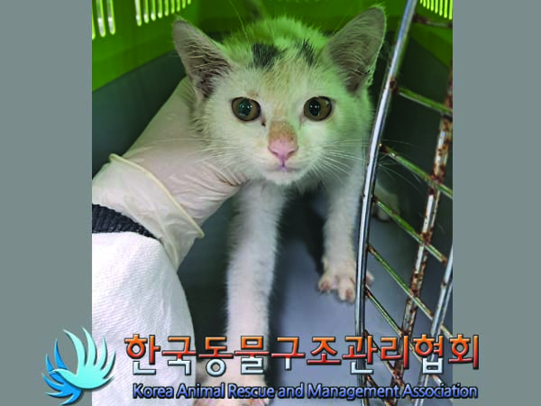 종료(자연사) 한국…