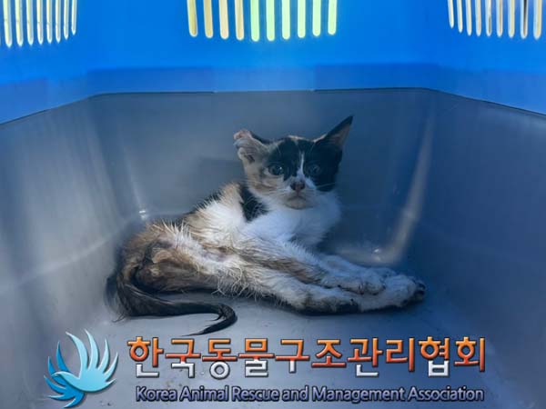한국동물구조관리협회_411307202400367