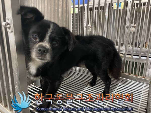 한국동물구조관리협회_411318202400262