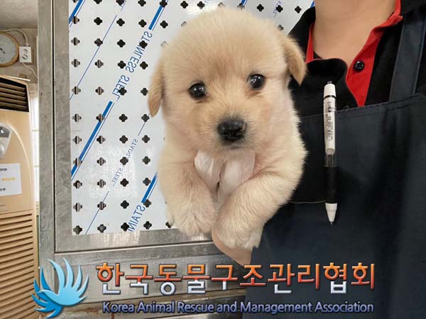 한국동물구조관리협회_441406202401287
