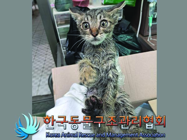 종료(자연사) 한국…