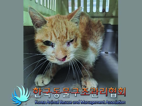 한국동물구조관리협회_411304202400390