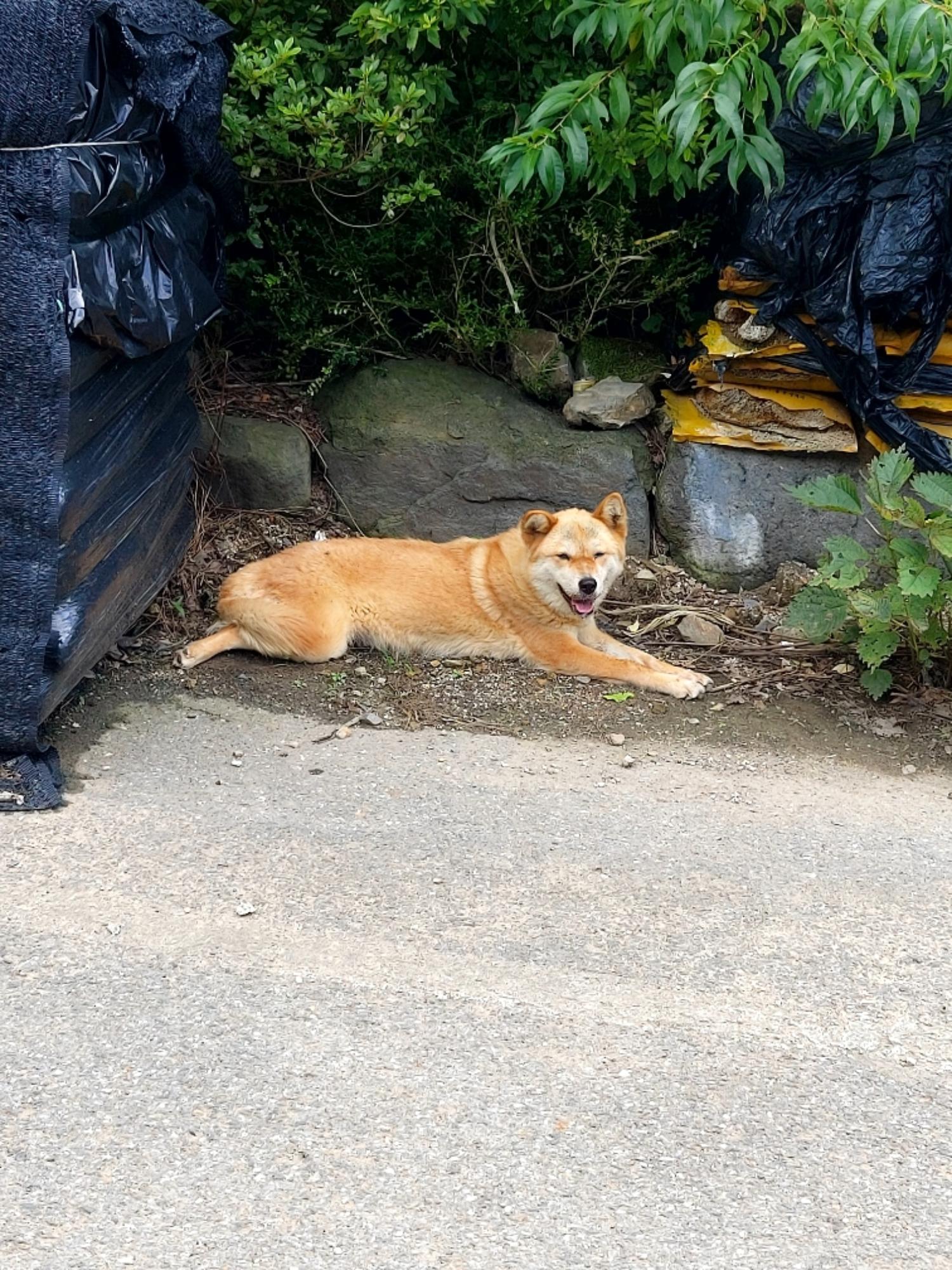 제일동물병원_444455202400436