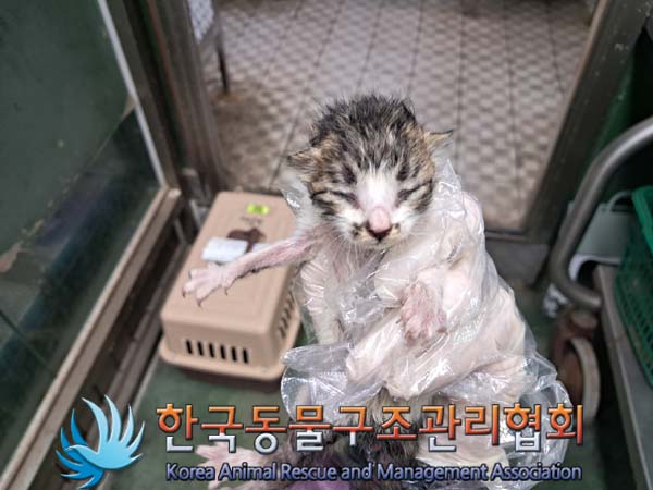 종료(자연사) 한국…