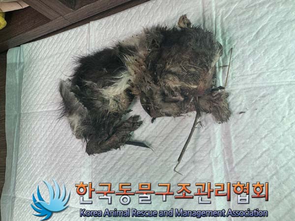 한국동물구조관리협회_441414202400583