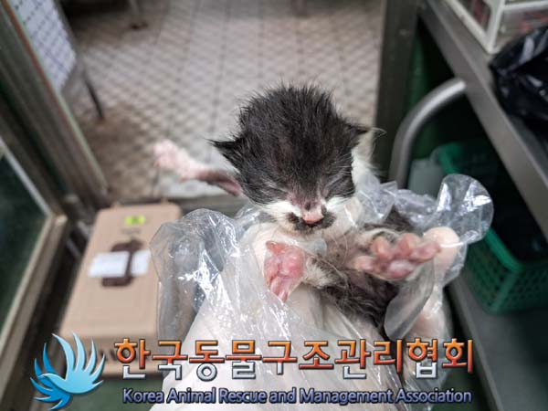 종료(자연사) 한국…