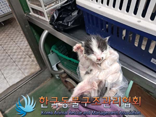 한국동물구조관리협회_441560202400804