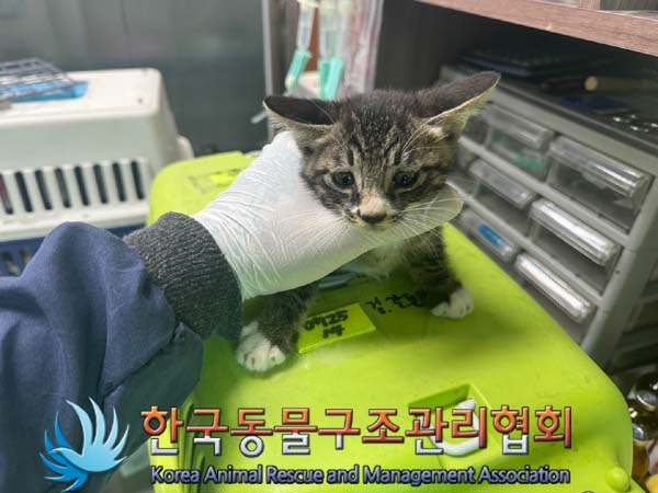 한국동물구조관리협회_441409202401125