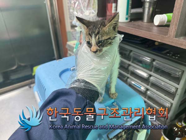 종료(자연사) 한국…