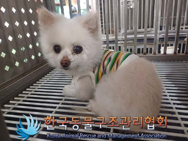 한국동물구조관리협회_411311202400595