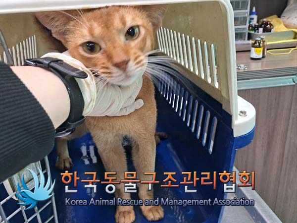 한국동물구조관리협회_441392202400223