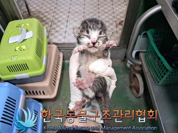 종료(자연사) 한국…