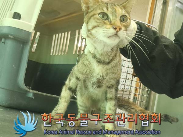 한국동물구조관리협회_441409202401128
