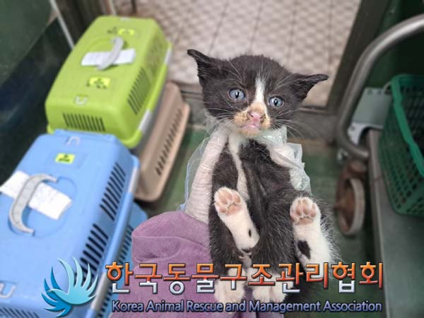 종료(자연사) 한국…