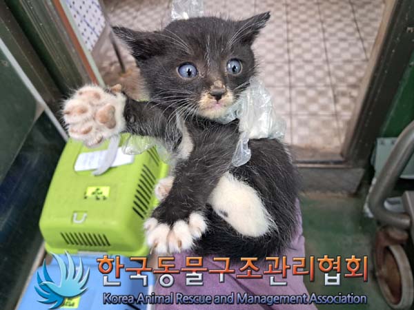 종료(자연사) 한국…