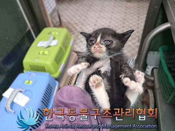 종료(자연사) 한국…