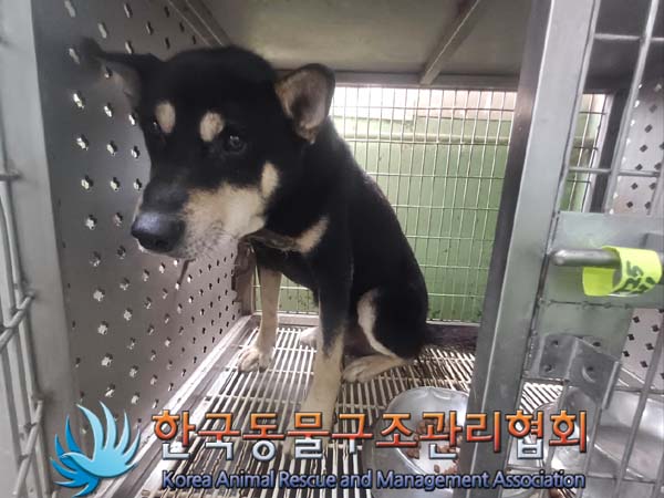 한국동물구조관리협회_441560202400811