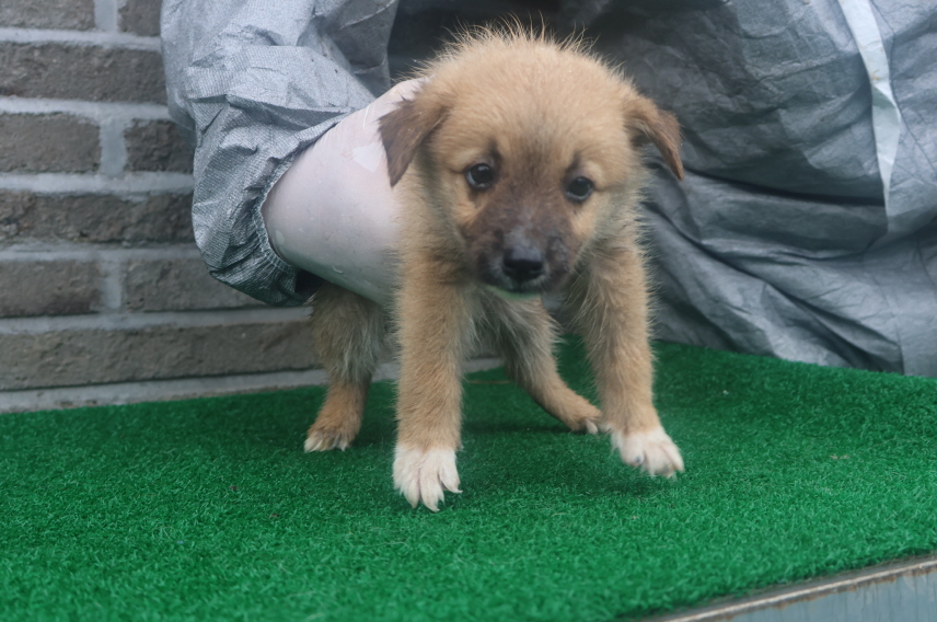 제주 동물보호센터_450650202402229