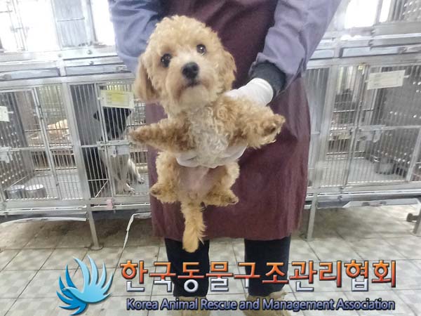 한국동물구조관리협회_441392202400224