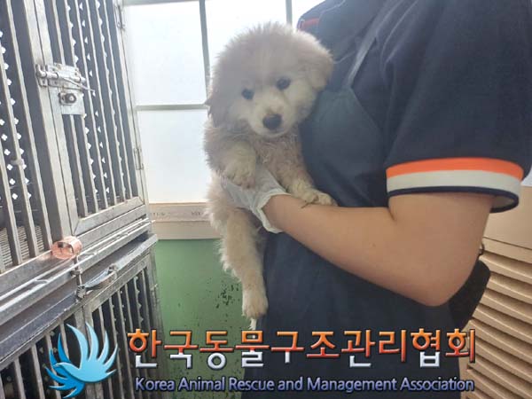 한국동물구조관리협회_441560202400814