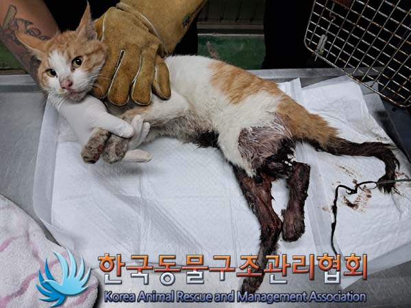 종료(자연사) 한국…